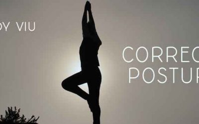La correcció postural, el nou propòsit